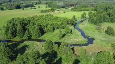 Nehirde yaz günü, kuş bakışı.