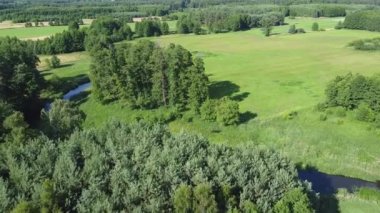 Nehirde yaz günü, kuş bakışı.