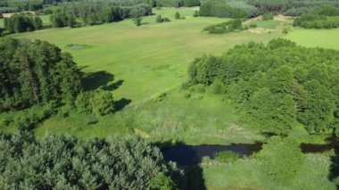 Polonya 'nın merkezindeki küçük nehrin üzerinden uçun.. 