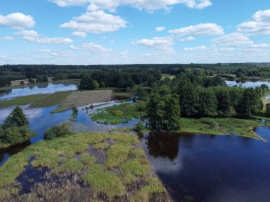 Polonya 'nın merkezindeki küçük nehrin üzerinden uçun.. 