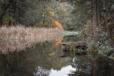 Orta Polonya 'daki küçük Grabia Nehri..