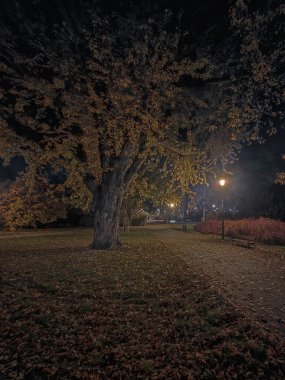 Eski kasaba, köprü ve park Toru, Polonya.