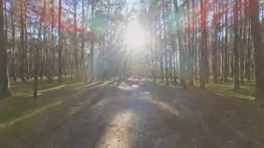 Nehir ve çayır üzerinde alçak ve hızlı bir İHA uçuşu.