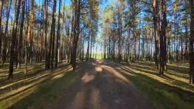 Nehir ve çayır üzerinde alçak ve hızlı bir İHA uçuşu.