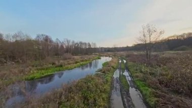 Nehir ve çayır üzerinde alçak ve hızlı bir İHA uçuşu.
