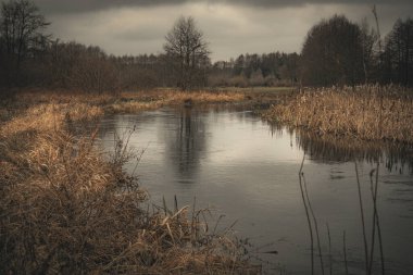 Orta Polonya 'daki küçük Grabia Nehri..