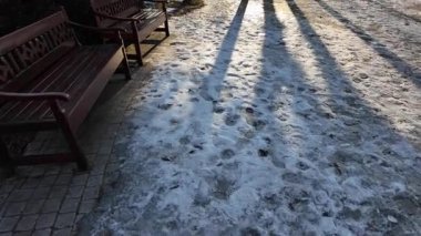 Polonya 'nın Zduska Wola kentindeki şehir parkında soğuk bir gün..