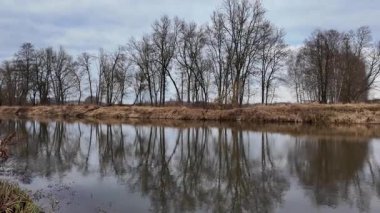Orta Polonya 'da küçük bir nehirde karsız bir kış..