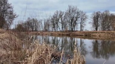 Orta Polonya 'da küçük bir nehirde karsız bir kış..