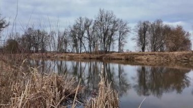 Orta Polonya 'da küçük bir nehirde karsız bir kış..