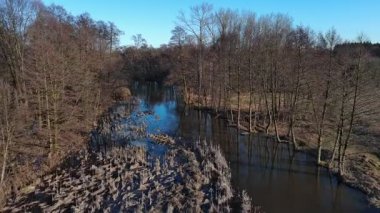 Polonya 'da küçük bir nehirde ilkbaharın başlarında.