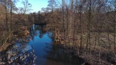 Polonya 'da küçük bir nehirde ilkbaharın başlarında.