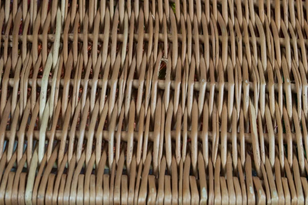 Wiklina warkoczyków, ażurowe — Zdjęcie stockowe