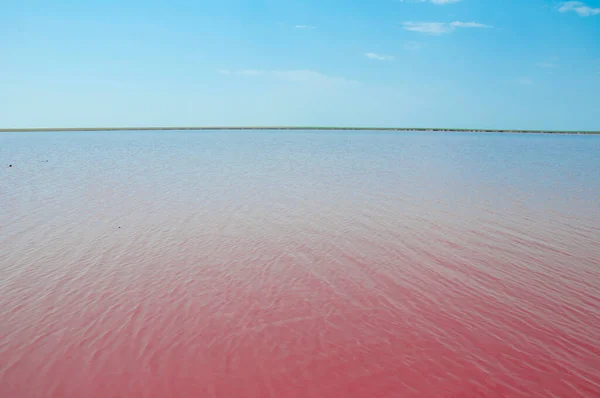 Pink Lake Western Australia with horizon and blue sky, nature.