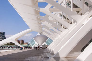 Valencia, İspanya - 17 Temmuz 2024: Geometrik mimari gezisi. Turistik sanat bilimi şehri. Valencia, İspanya 'da sanat bilimleri şehri. İspanya 'ya seyahat. Beton ve cam tasarımı.