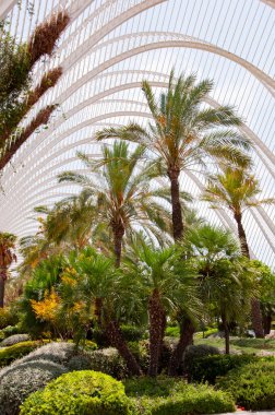 Geometric summer park architecture. Architectural geometrical construction. Palm tree park Valencia. City of arts sciences in Valencia, Spain. Geometric architecture design. Modern architecture.