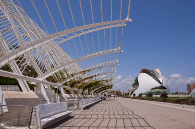 Geometric architecture sightseeing. Touristic city arts science. Travel to Valencia. City of arts and sciences. Elegant curves. Travel destination. Valencia geometric architecture landmark.