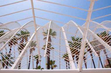 Mimari geometrik yapı. Palmiye ağacı parkı. Güneşli Valencia Parkı. Valencia, İspanya 'da sanat bilimleri şehri. Geometrik mimari tasarımı. Modern mimari. Geometrik park mimarisi.