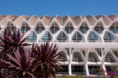 Travel destination. Valencia geometric architecture landmark. Geometric architecture sightseeing. Touristic city arts science. Travel to Valencia. City of arts and sciences. Urban masterpiece.