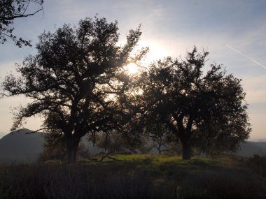 Üç kız kardeş Falls, Ca