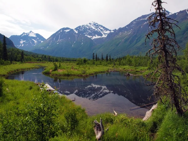 Parque Estadual Chugach, Alasca — Fotografia de Stock