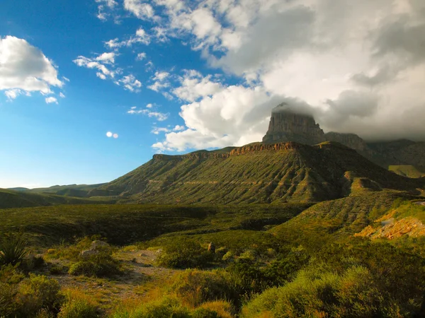 Guadalupe Mountains, Texas Stockfoto