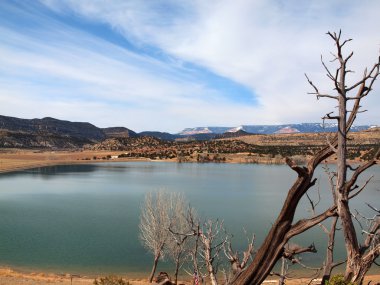 Taşlaşmış Orman, Ut