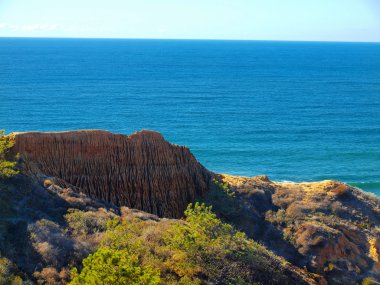 Torrey Pines, San Diego, CA clipart