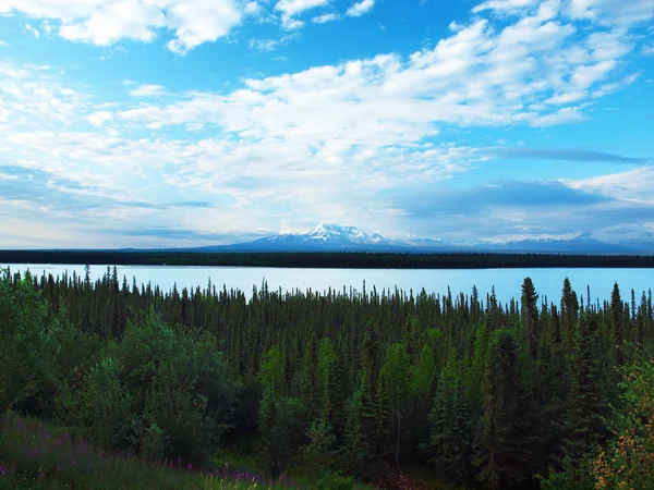 Wrangell st. elias nationalpark, alaska — Stockfoto