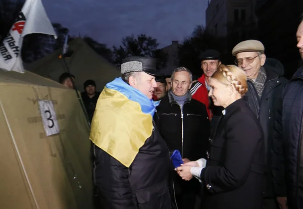 La leader del Partito Batkivschyna Yulia Tymoshenko ha partecipato a un'azione di protesta fuori dal Gabinetto dei Ministri contro tassi di utilità più elevati, alias Tariff Maidan, il 1 novembre 2015 . — Foto Stock