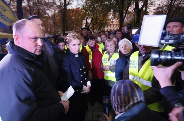 Лідер партії "Батьківщина" Юлія Тимошенко взяла участь протесту за межами Кабмін проти вище комунальних тарифів, aka тариф Майдан, на 1 листопада 2015. — стокове фото
