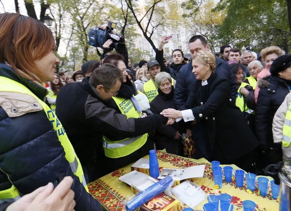 Лідер партії "Батьківщина" Юлія Тимошенко взяла участь протесту за межами Кабмін проти вище комунальних тарифів, aka тариф Майдан, на 1 листопада 2015. — стокове фото