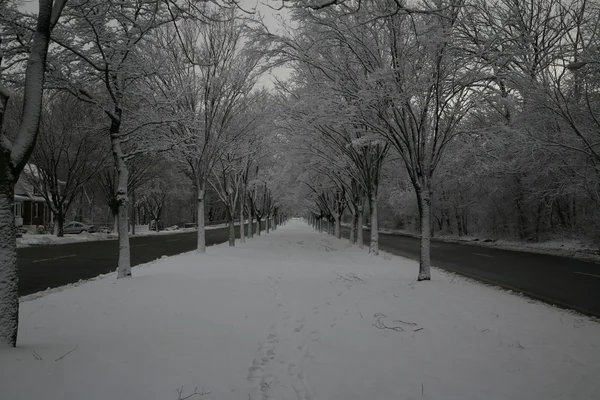 Schneebedeckte Straße — Stockfoto