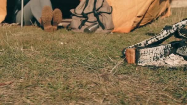 De jongen en het meisje op de natuur — Stockvideo