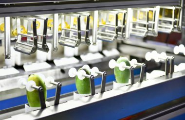 Otomatik mango soyucu makine üretim hattı fabrikadaki ekipman makineleri üzerine