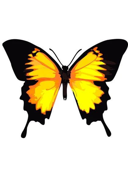 Schwalbenschwanz-Schmetterling, gelber Schmetterling auf weißem Hintergrund. — Stockvektor