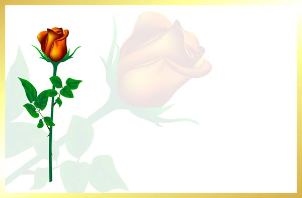 Karta pro den svatého Valentýna. Obrázek z lásky. Čajové růže. — Stock fotografie