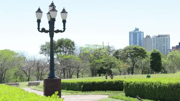 Jardim Botânico em Curitiba — Vídeo de Stock