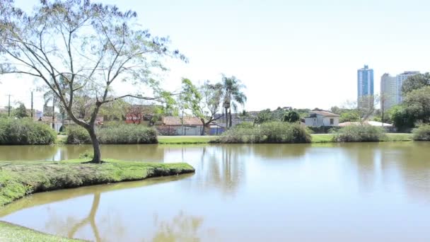 Ogród botaniczny w Curitiba, Brazylia. — Wideo stockowe