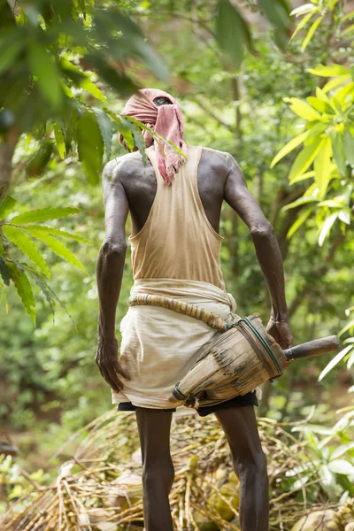 Редакция документального фильма. Старый альпинист на кокосовом дереве — стоковое фото
