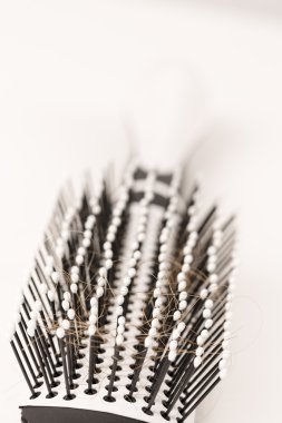 Beyaz arka plan üzerinde kayıp kumral