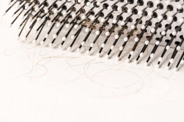 Beyaz arka plan üzerinde kayıp kumral