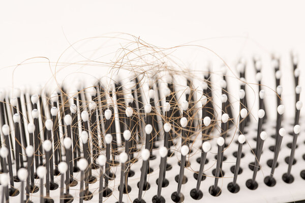 каштановые волосы на белом фоне
