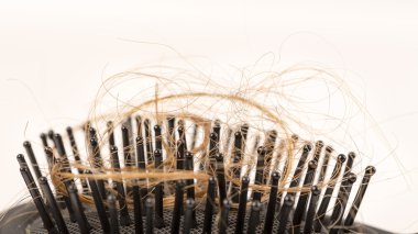 Beyaz arka plan üzerinde kayıp kumral