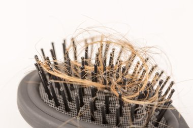 Beyaz arka plan üzerinde kayıp kumral