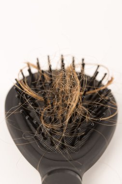 Beyaz arka plan üzerinde kayıp kumral