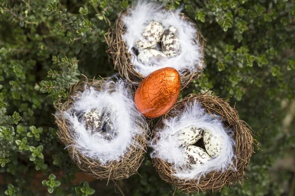 Feliz Pascua nido huevos — Foto de Stock