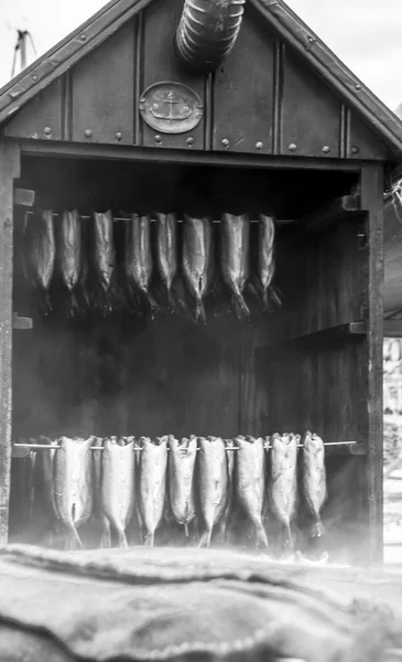 Smoking room with fish — Stock Photo, Image