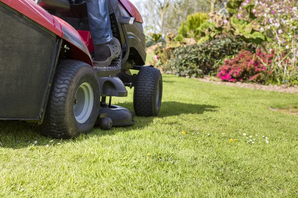 Senior gardener cut grass — Stock Photo, Image