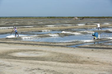 Belgesel resim Editör. Tuz alan işçi Hindistan